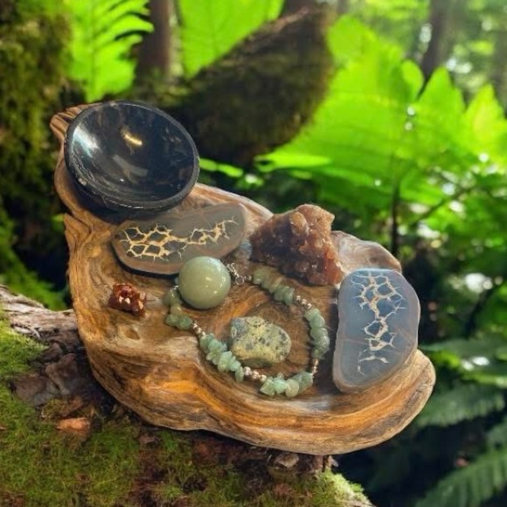 Crystal and fossil bundle